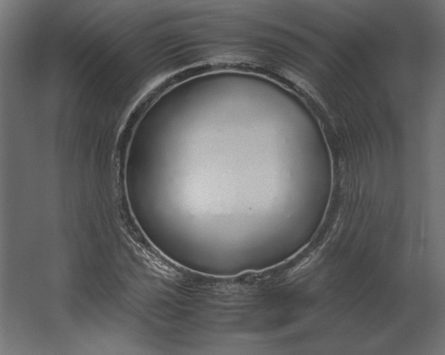 X0000067481021200604211627