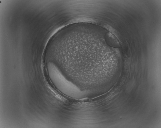 X0000067481024200604211627