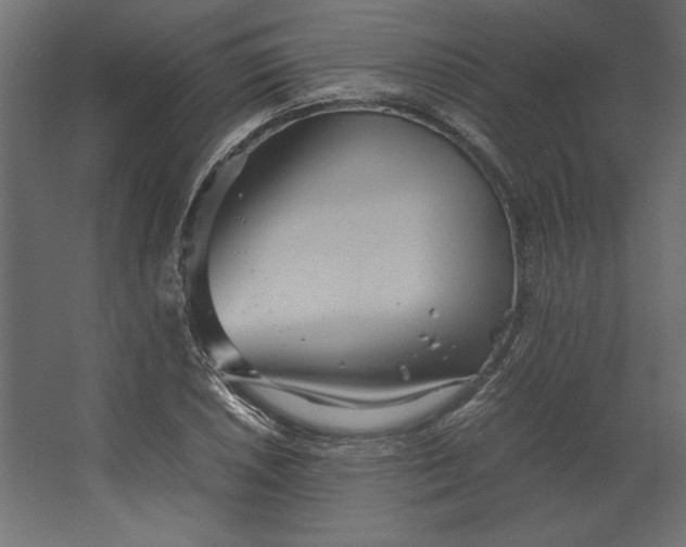 X0000067481026200604211627