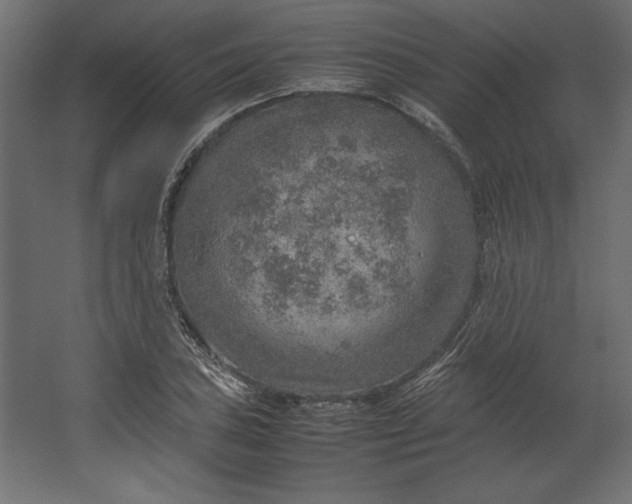 X0000067481027200604211627