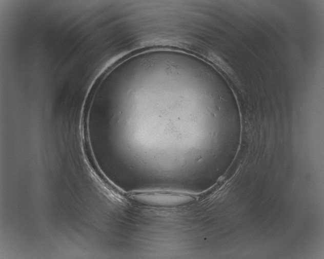 X0000067481028200604211627