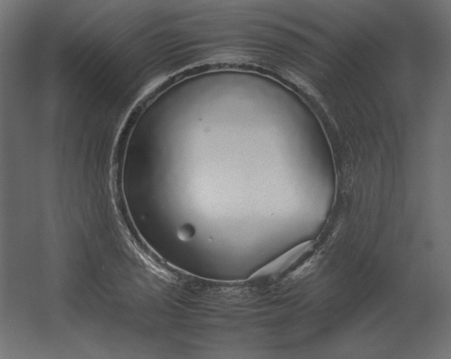 X0000067481029200604211627