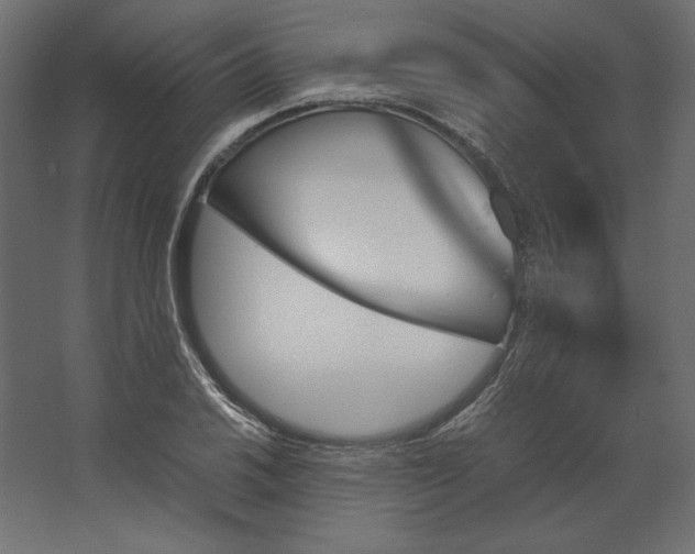 X0000067481030200604211627