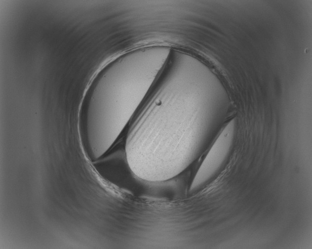 X0000067481034200604211628