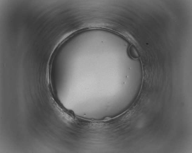 X0000067481036200604211628