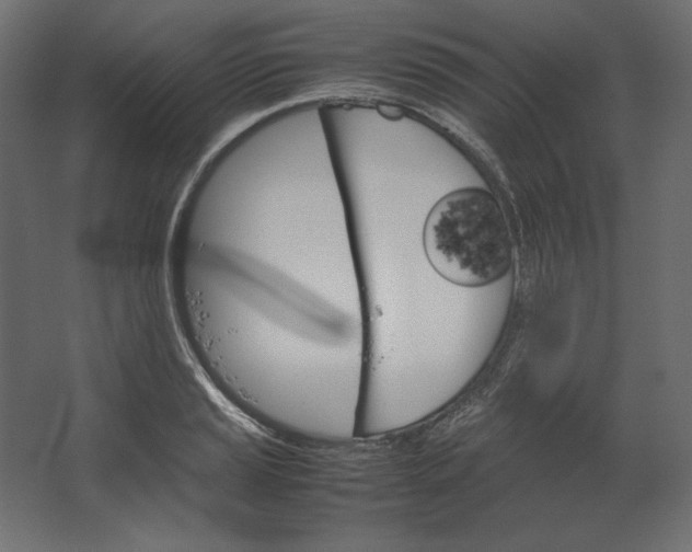 X0000067481037200604211628