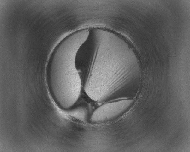 X0000067481038200604211628