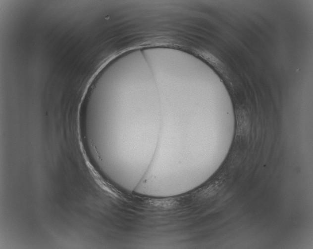 X0000067481039200604211628