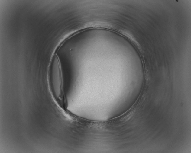 X0000067481040200604211628