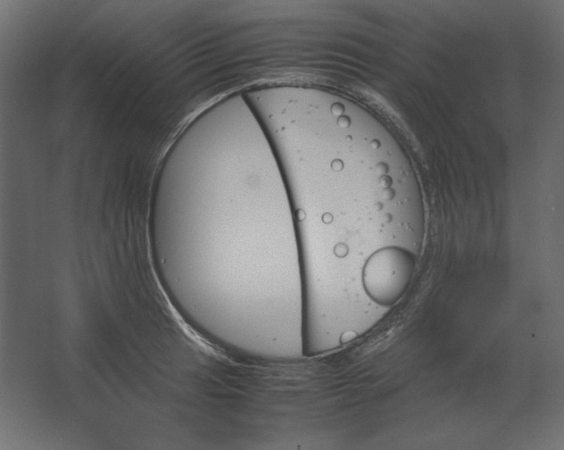 X0000067481041200604211628