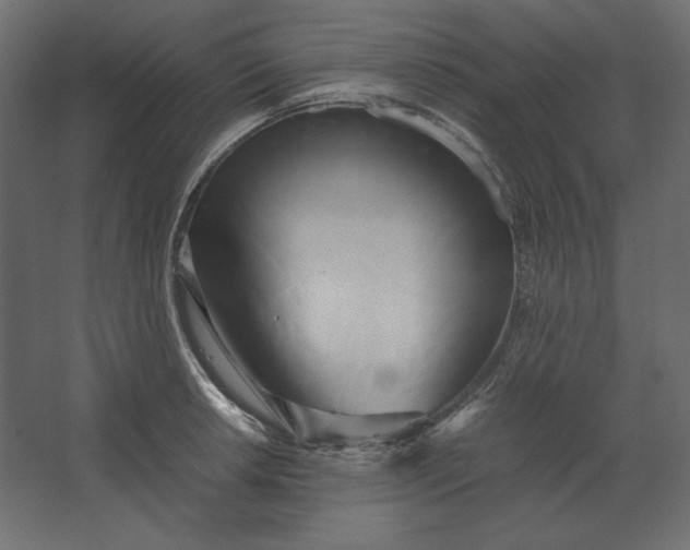 X0000067481042200604211628