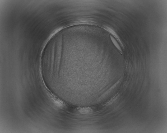 X0000067481043200604211628