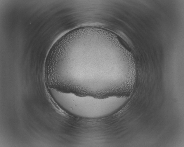 X0000067481044200604211628