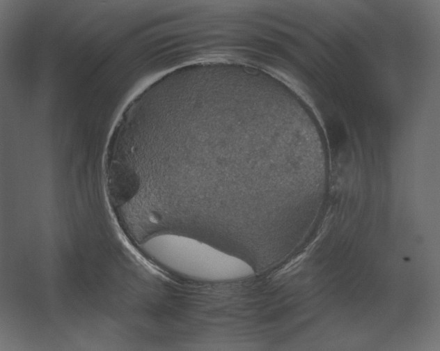 X0000067481045200604211628