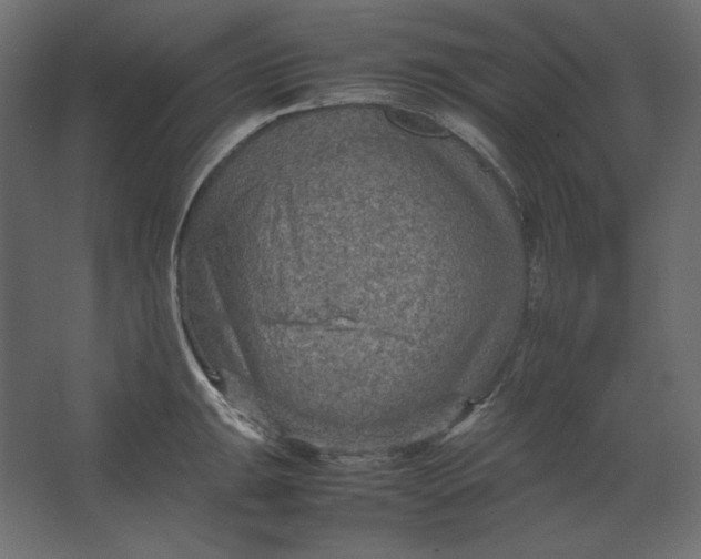 X0000067481047200604211628