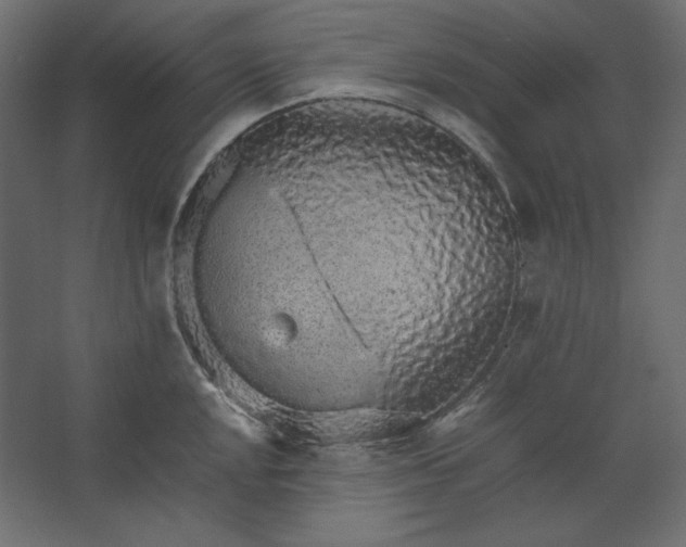 X0000067481048200604211628