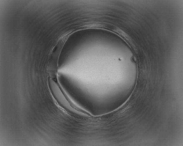 X0000067481049200604211628