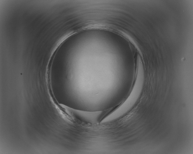 X0000067481050200604211628