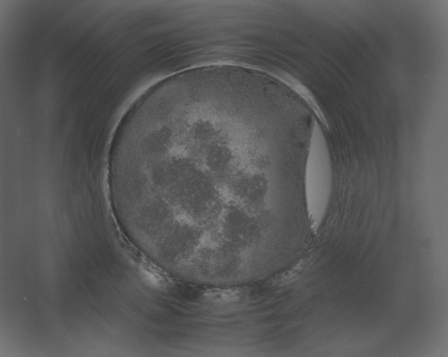 X0000067481051200604211628