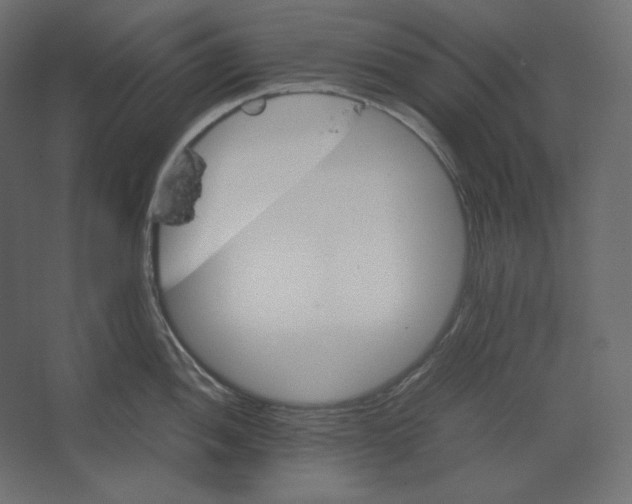 X0000067481052200604211628