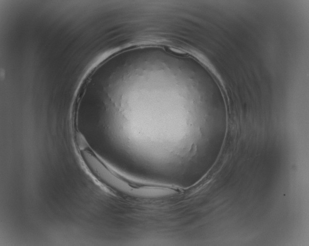 X0000067481053200604211628