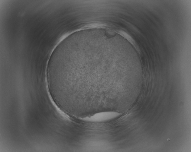 X0000067481055200604211628