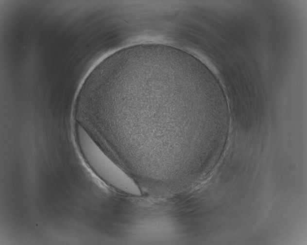 X0000067481056200604211628