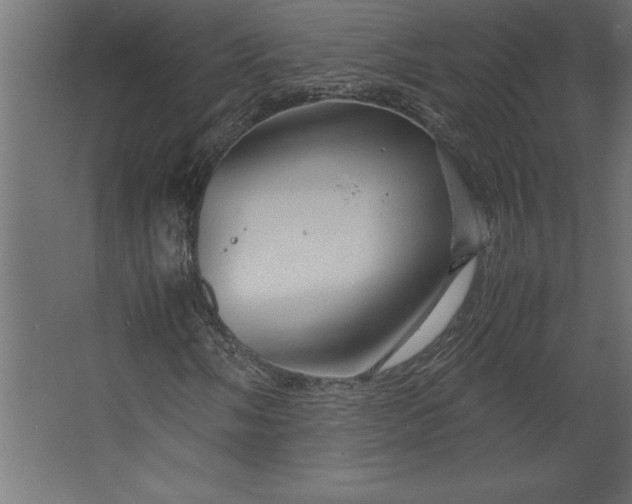 X0000067481058200604211627