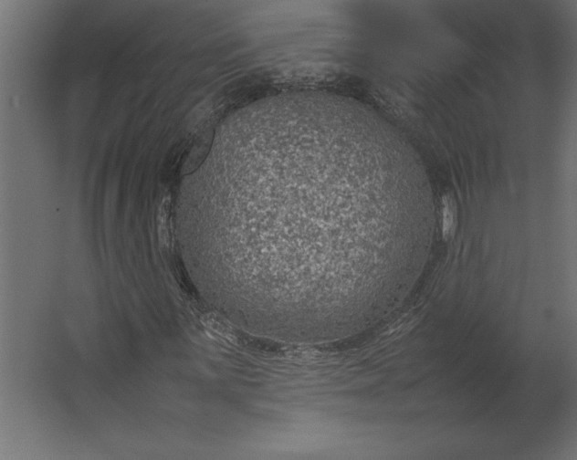 X0000067481059200604211627