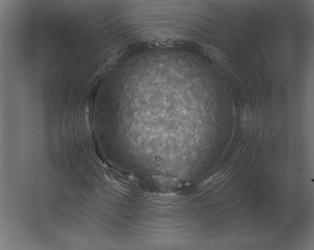 X0000067481060200604211627