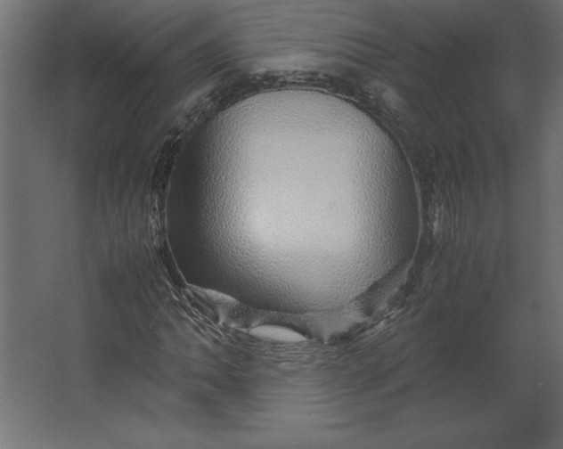 X0000067481062200604211627