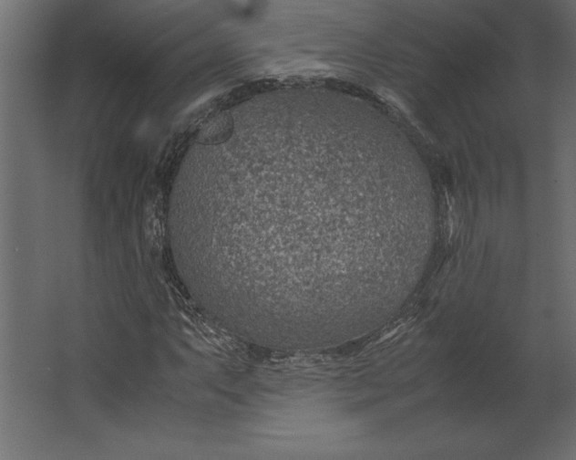 X0000067481063200604211627