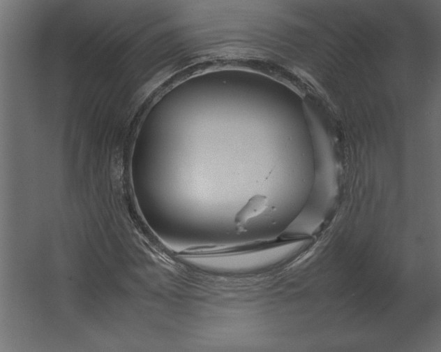 X0000067481065200604211627