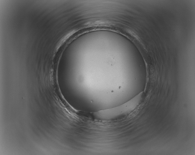 X0000067481066200604211627