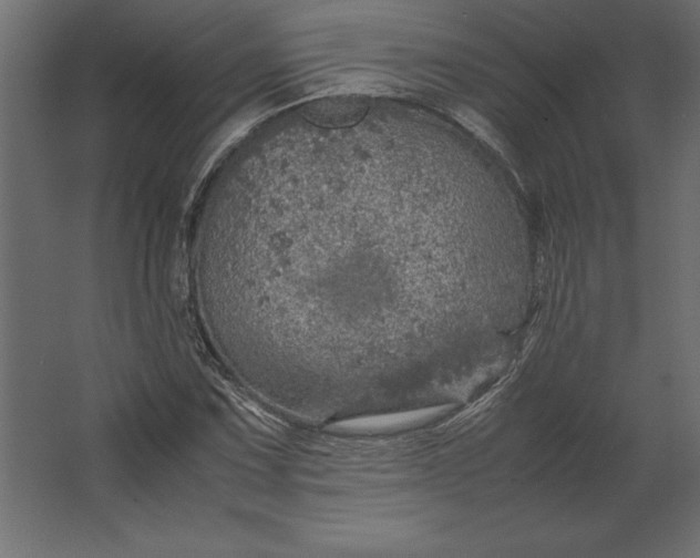 X0000067481067200604211627