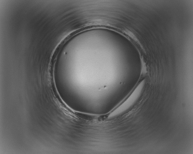 X0000067481068200604211627