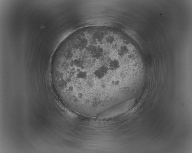 X0000067481071200604211627