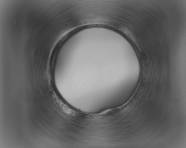 X0000067481072200604211627