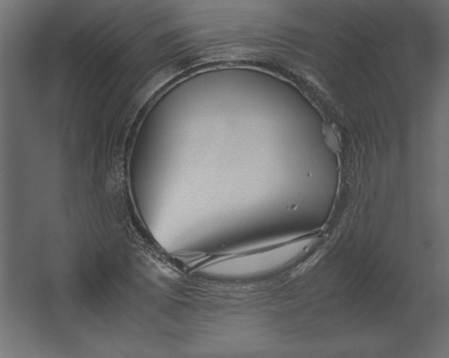 X0000067481073200604211627