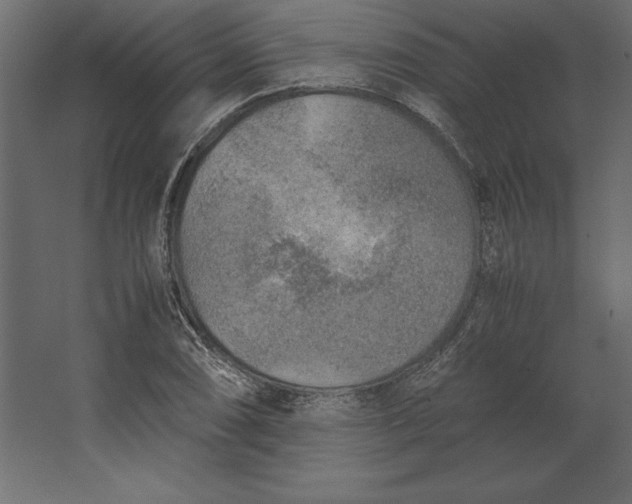 X0000067481074200604211627