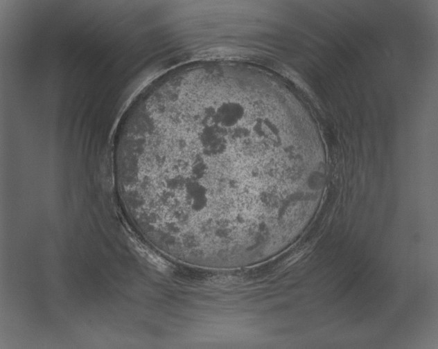 X0000067481075200604211627