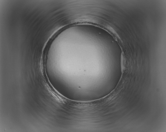 X0000067481076200604211627