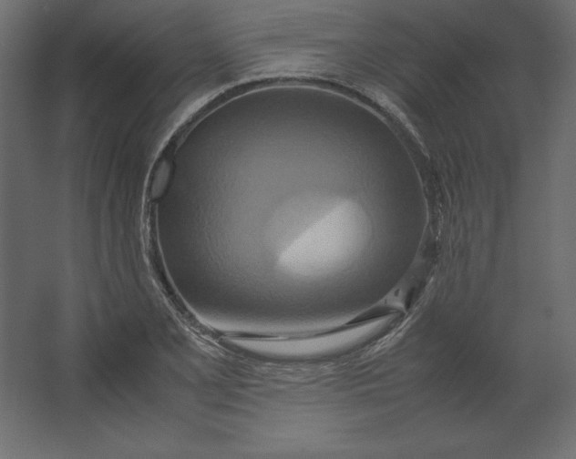 X0000067481077200604211627