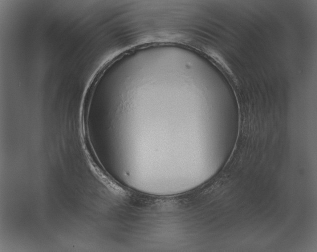 X0000067481080200604211627