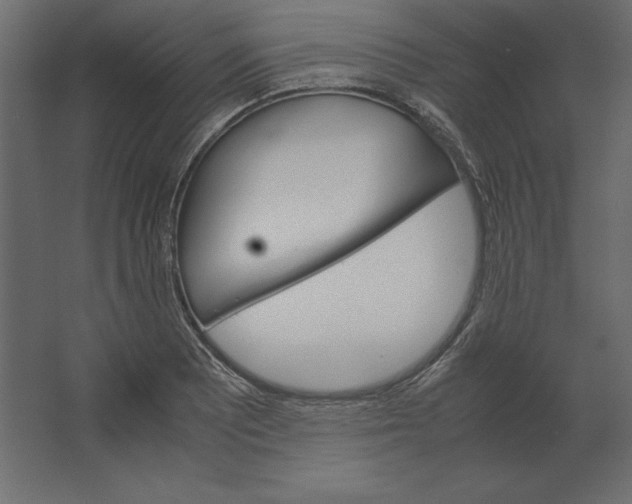 X0000067481081200604211627