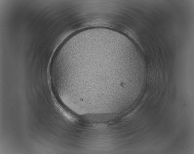 X0000067481082200604211627