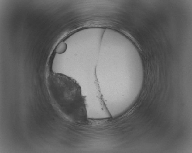 X0000067481083200604211627