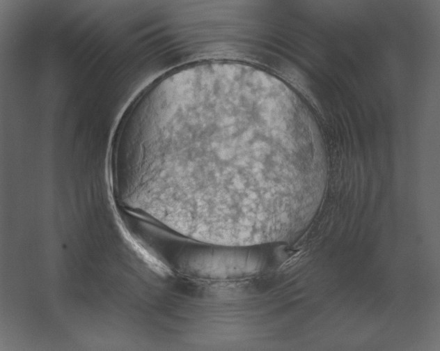 X0000067481084200604211627