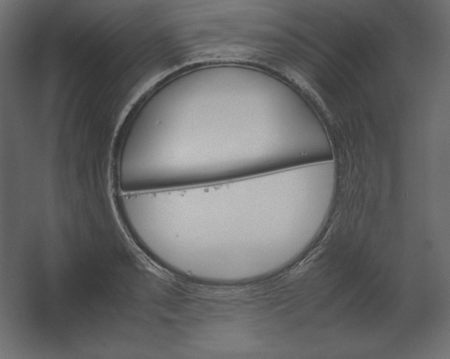 X0000067481085200604211627