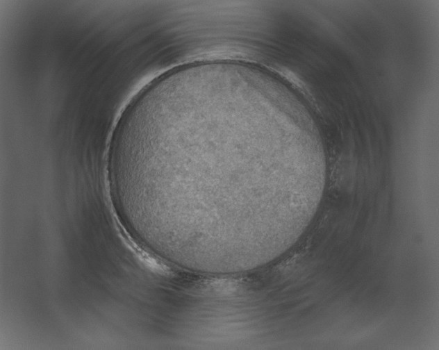 X0000067481086200604211627